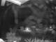 Webcam in Dorfgastein, 3 mi away
