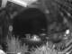 Webcam in Dorfgastein, 0 km entfernt
