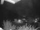 Webcam in Dorfgastein, 2.7 mi away
