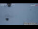 Webcam in Grindelwald, 1.9 mi away