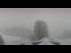 Webcam in Ramsau am Dachstein, 12.1 km entfernt