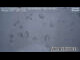 Webcam in Kaprun, 9.7 km