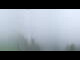 Webcam in Oberwindau, 1.9 km