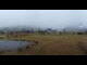 Webcam in Ehrwald, 0.5 mi away