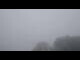Webcam in Viktorsberg, 4.3 km