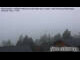 Webcam in Falkertsee, 2.5 mi away