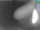Webcam in Waldmünchen, 24.5 mi away