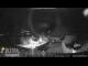 Webcam in Gaschurn, 6.9 km entfernt