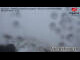 Webcam in Zugspitze, 0.4 mi away