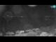 Webcam in Pomer, 4.6 mi away