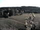 Webcam in Fuchsmühl, 26.5 km
