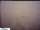 Webcam in Urnäsch, 4.3 mi away