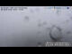 Webcam in Neustift im Stubaital, 3.4 km