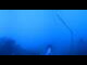 Webcam in Axamer Lizum, 5.3 km