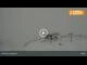 Webcam in Neustift im Stubaital, 2.3 km