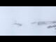 Webcam in Neukirchen am Großvenediger, 3 km