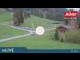 Webcam in Brixen im Thale, 3.9 km