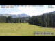 Webcam in Hirschegg, 3.2 km