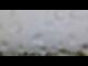 Webcam in Schwangau, 1 mi away