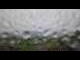 Webcam in Schwangau, 1.1 mi away