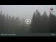 Webcam in Bodenmais, 6.7 km entfernt
