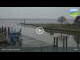 Webcam in Fedderwardersiel, 7.2 mi away
