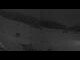 Webcam in Innsbruck-Igls, 9.1 km