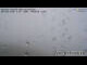 Webcam in Polinik, 6.1 mi away