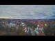 Webcam in Ladenburg, 25.1 km