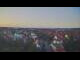 Webcam in Ladenburg, 16 mi away