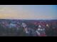 Webcam in Ladenburg, 25.1 km