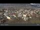 Webcam in Merano, 0.5 km