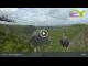 Webcam in Thale, 9.9 km