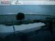 Webcam in Gunzenhausen, 17.7 mi away