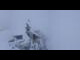 Webcam on the Jungfraujoch, 0.1 mi away