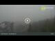 Webcam in Dolni Morava, 4.3 km