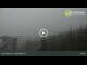 Webcam in Dolni Morava, 8.3 km