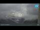 Webcam in Gressoney-La-Trinite, 1 km