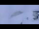 Webcam in Grächen, 8.7 km
