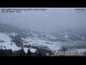 Webcam in Sibratsgfäll, 12.8 km