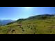 Webcam in Gampel-Bratsch, 8.5 km
