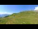 Webcam in Gampel-Bratsch, 9.5 km entfernt