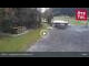 Webcam in Niederthai, 4.4 km entfernt