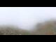 Webcam in Bellwald, 2.3 mi away