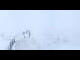 Webcam in Flumserberg, 2.1 mi away