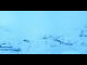 Webcam in Adelboden, 14.2 km