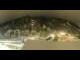 Webcam in Fiesch, 2.5 km