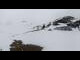 Webcam in Seiser Alm, 3.1 km