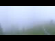 Webcam in Großarl, 3.6 km entfernt