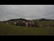 Webcam in Hollenthon, 19 km